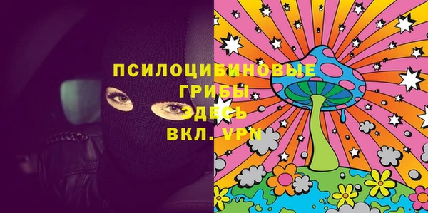 соль ск Балахна